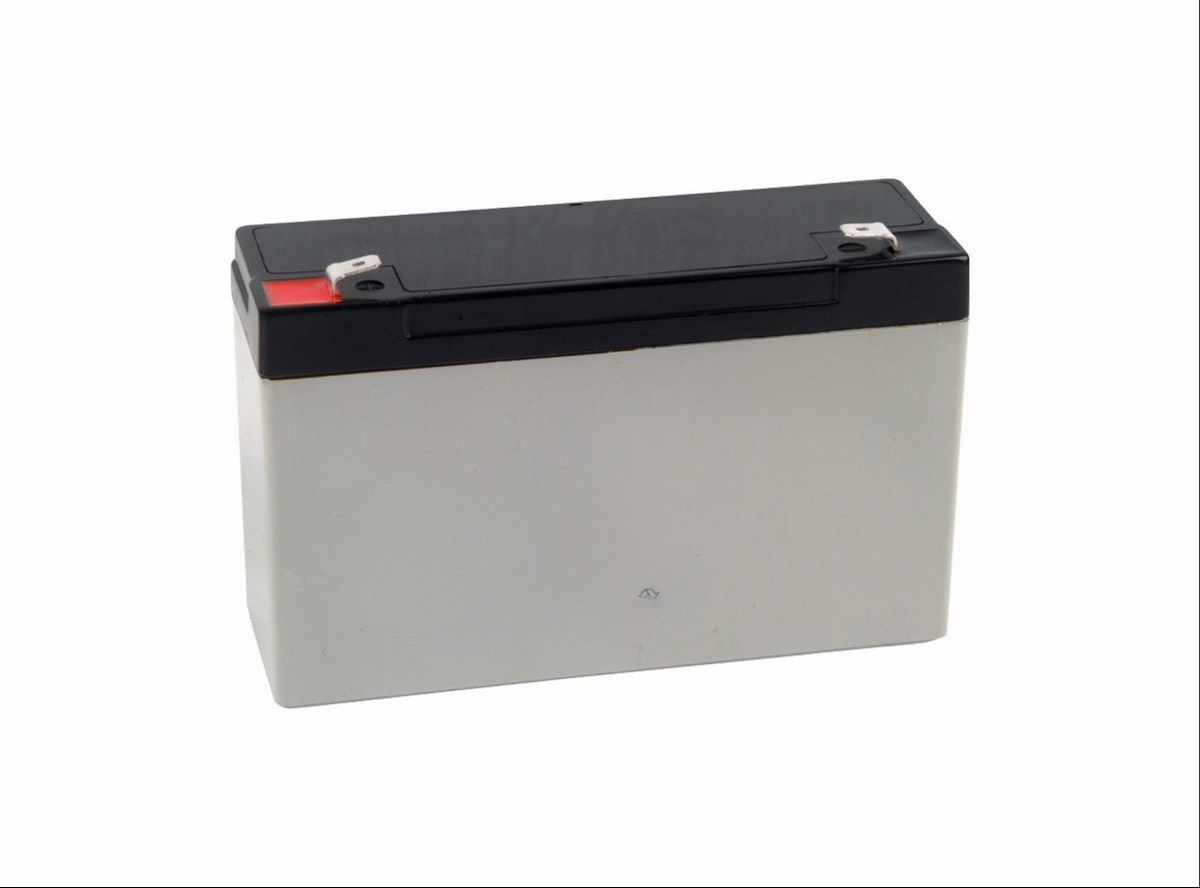 Standard AGM Battery view 4